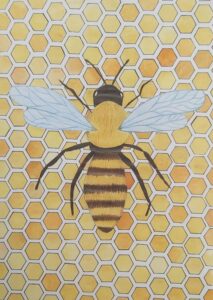 Zmagovalno delo »Bee and honeycomb«